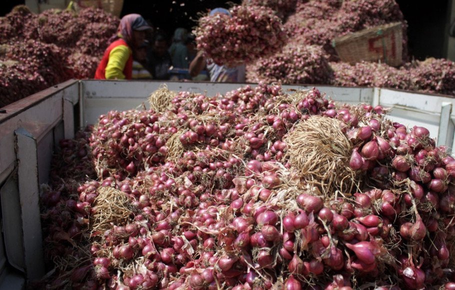 Bawang Merah Indonesia