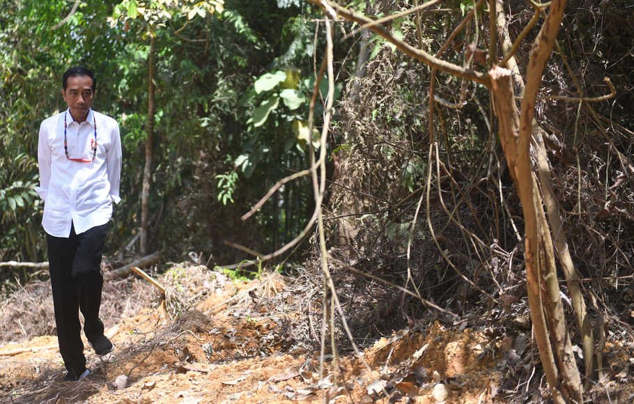 Presiden Joko Widodo berjalan di kawasan hutan saat meninjau salah satu lokasi calon ibu kota negara di Gunung Mas, Kalimantan Tengah, Rabu (8/5/2019).