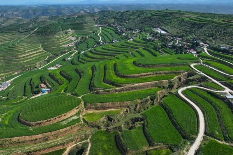 Sejumlah pencapaian yang ditorehkan Ningxia dapat dikaitkan dengan upaya gabungan antara kebijakan, ilmu pengetahuan dan teknologi, serta keterlibatan pemangku kepentingan jangka panjang. (ANTARA/XINHUA)