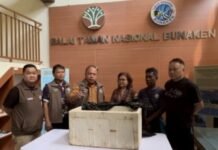 Ikan Purba Coelacant Ditemukan di Perairan Pulau Siladen. Prof Masengi Apresiasi Kepada Nelayan Yang Menemukan